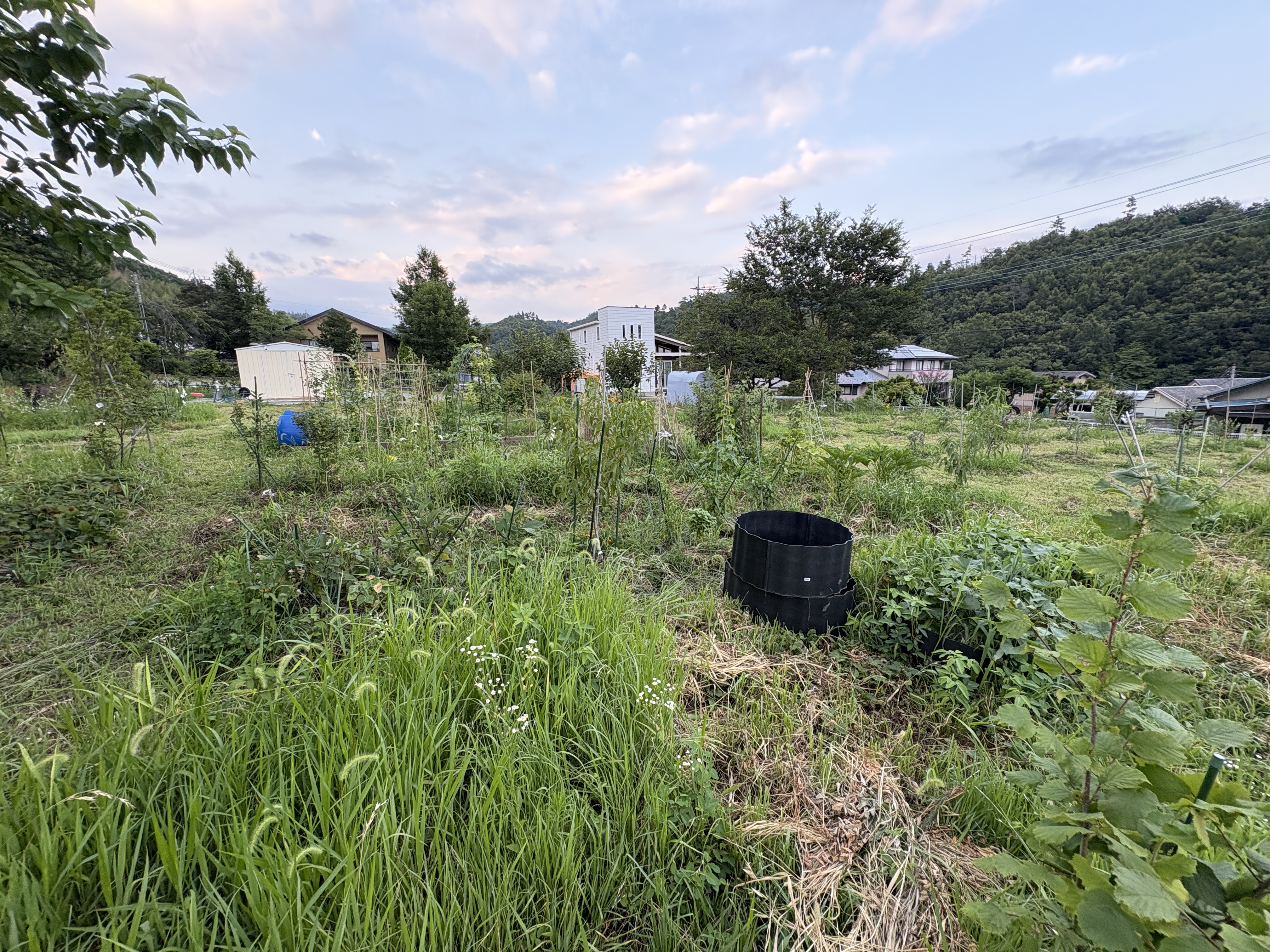 主寝室